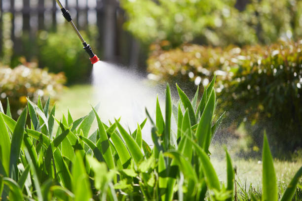 24/7 Emergency Ant Control experts in Chrisman, IL