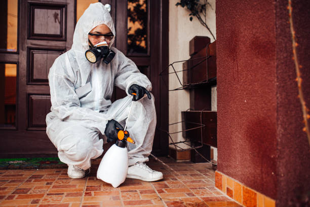 Reliable Ant Control contractor in Chrisman, IL by Nex Pest Control